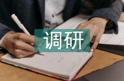 生產(chǎn)技術(shù)調(diào)研