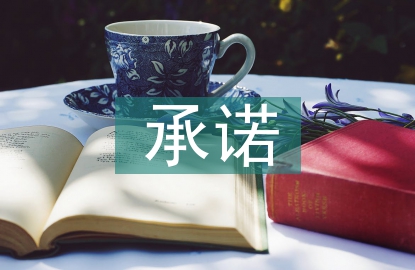 合理化建議和服務(wù)承諾