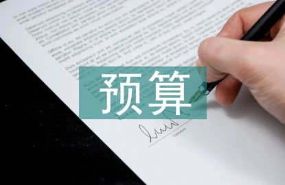 財(cái)務(wù)分析和預(yù)算