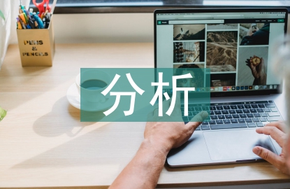 企業(yè)信息化內(nèi)部控制分析