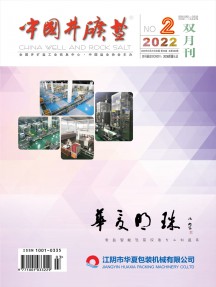 中國(guó)井礦鹽雜志