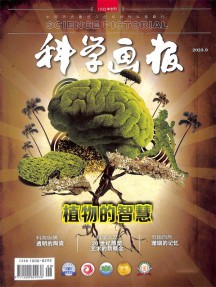 科學(xué)畫報雜志