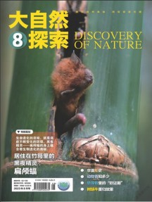 大自然探索雜志