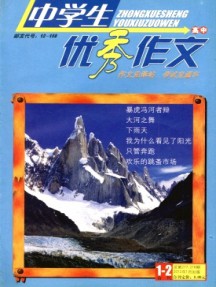 中學生優(yōu)秀作文·高中版
