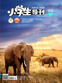 小學(xué)生導(dǎo)刊·中年級(jí)